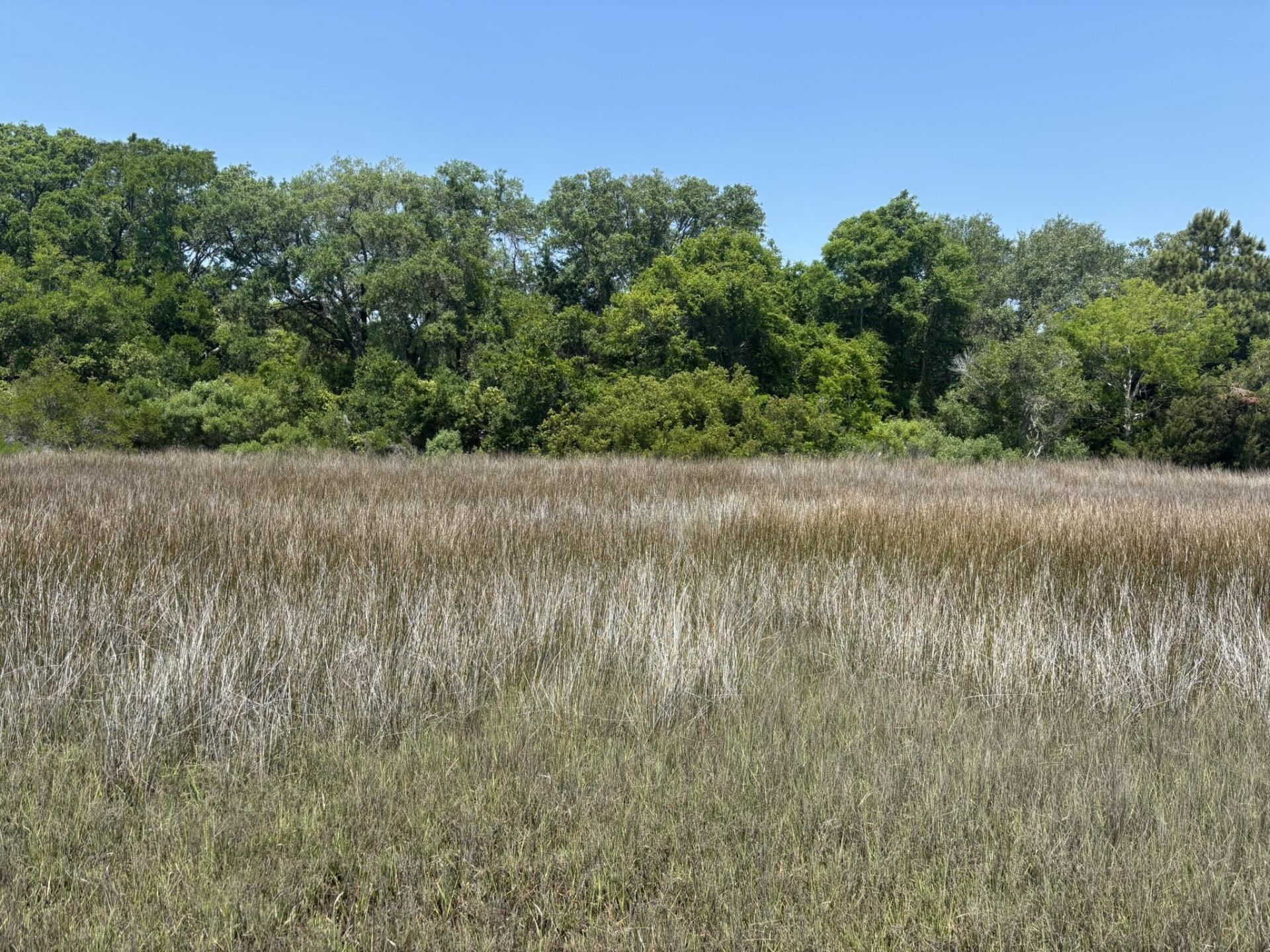 2035 Sol Legare Road Photo 7