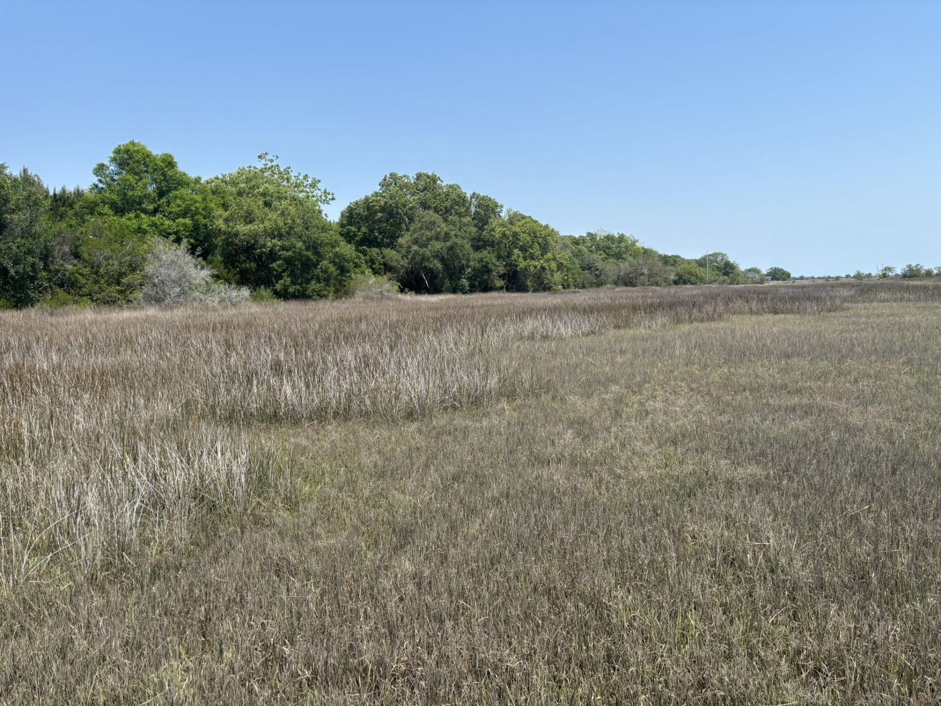 2035 Sol Legare Road Photo 8