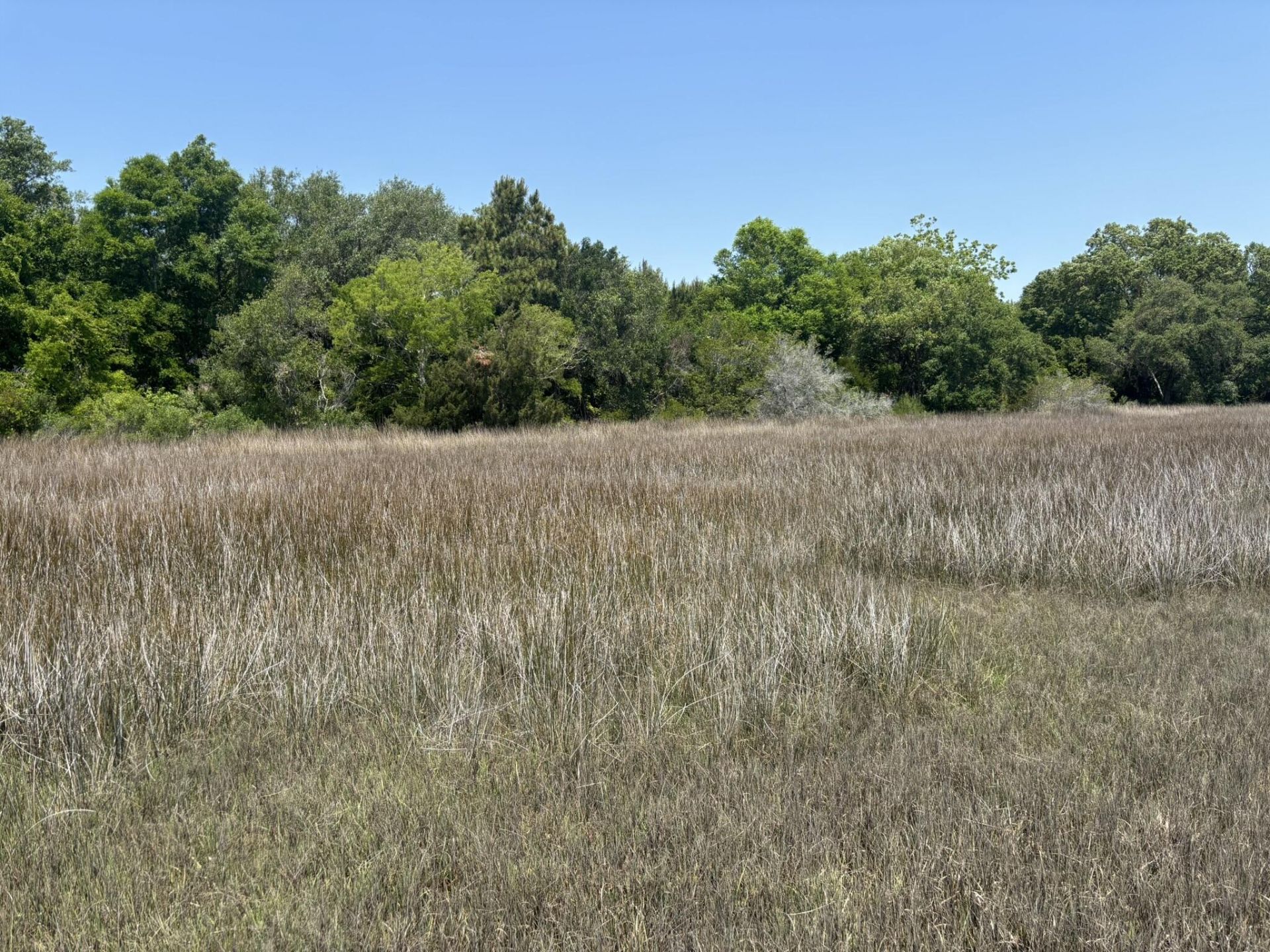 2035 Sol Legare Road Photo 9