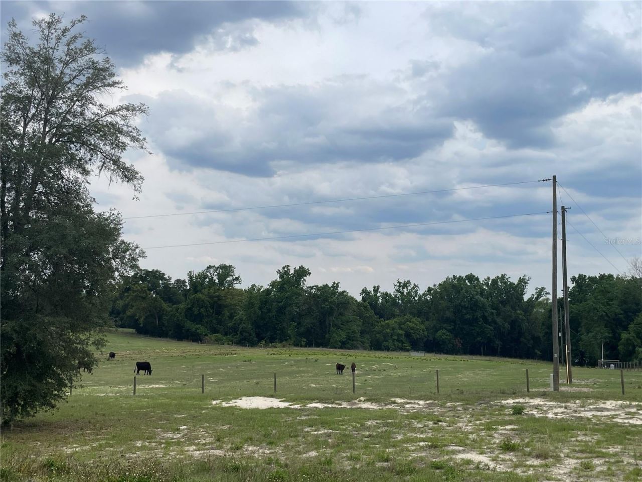 33740 Larkin Rd , Dade City, FL 33523 Photo