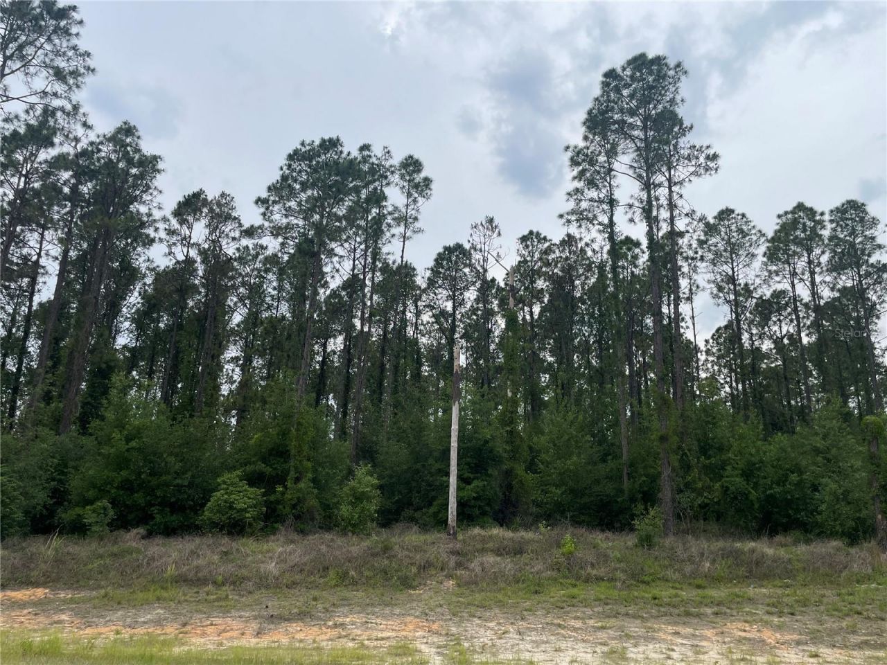 33740 Larkin Rd , Dade City, FL 33523 Photo