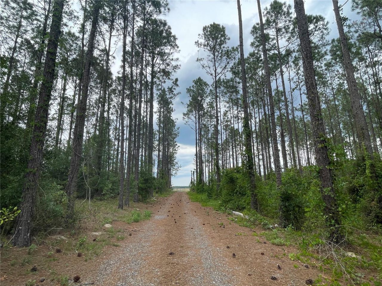 33740 Larkin Rd , Dade City, FL 33523 Photo