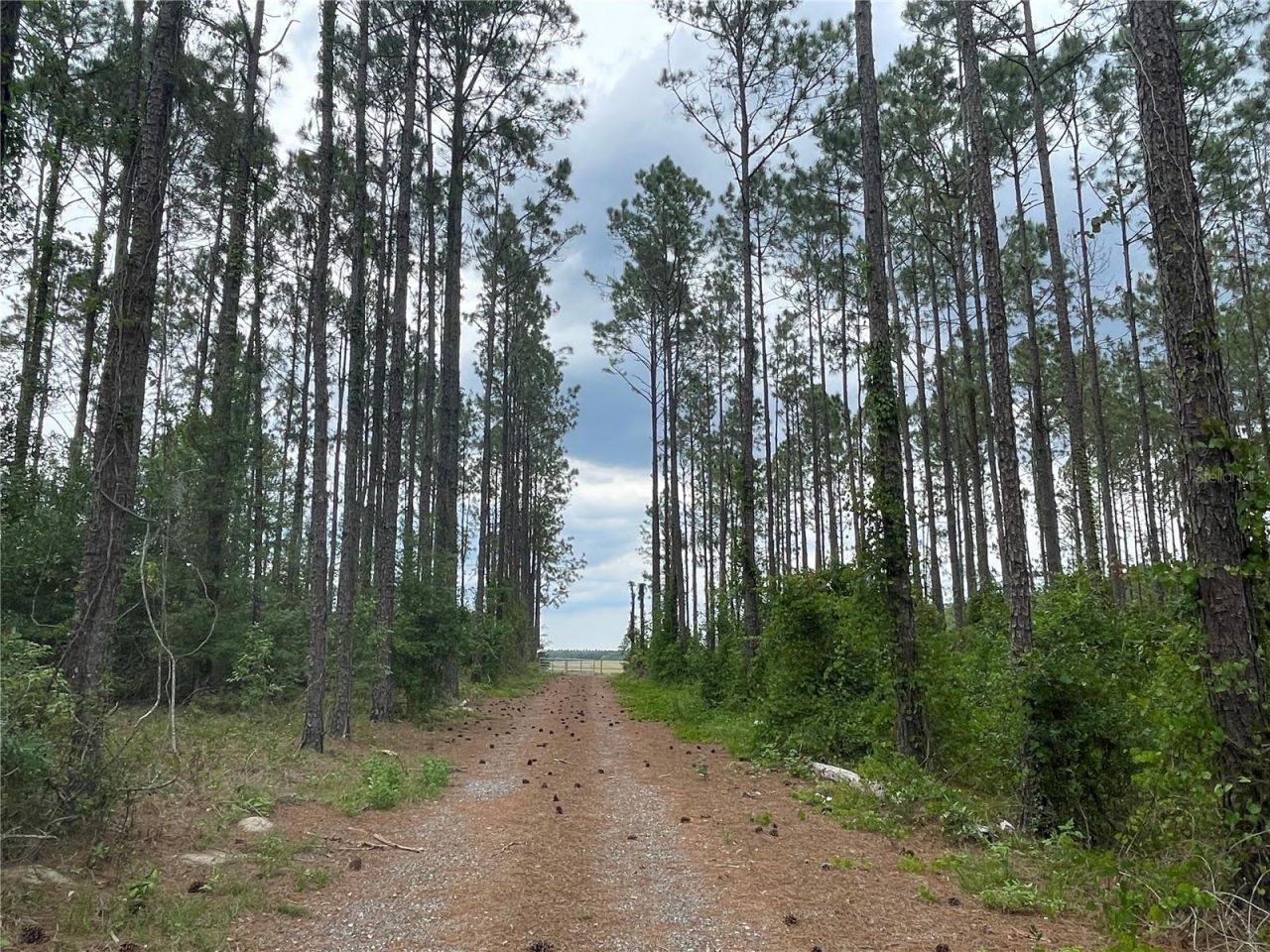 33740 Larkin Rd , Dade City, FL 33523 Photo