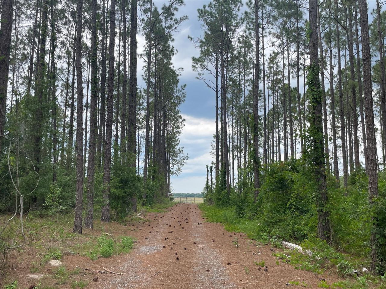 33740 Larkin Rd , Dade City, FL 33523 Photo