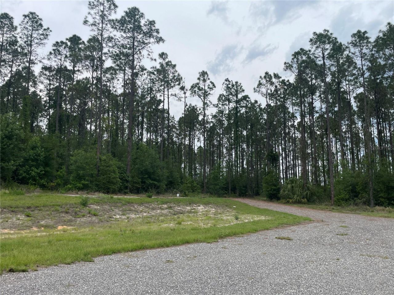 33740 Larkin Rd , Dade City, FL 33523 Photo