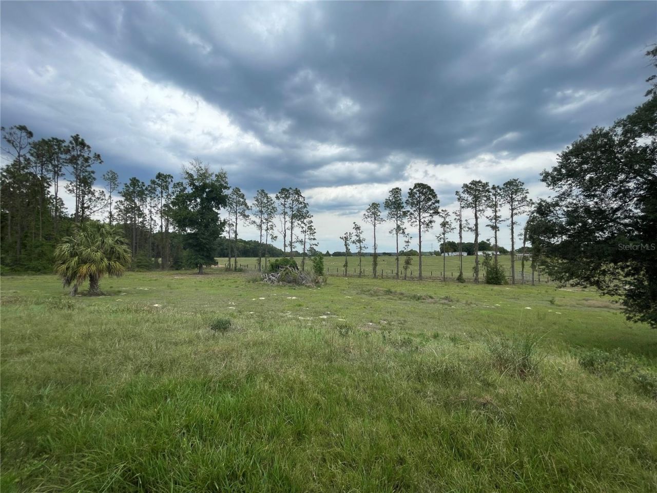 33740 Larkin Rd , Dade City, FL 33523 Photo