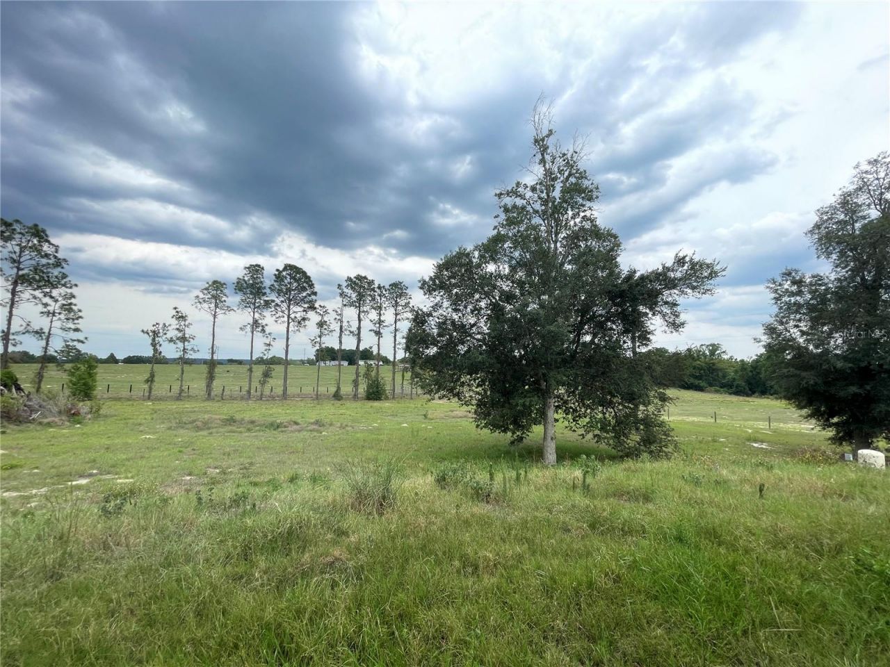 33740 Larkin Rd , Dade City, FL 33523 Photo