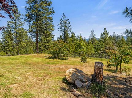 18551 Button Down Ln, Mokelumne Hill, CA 95245 Photo
