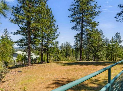 18551 Button Down Ln, Mokelumne Hill, CA 95245 Photo