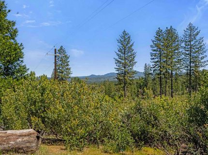 18551 Button Down Ln, Mokelumne Hill, CA 95245 Photo