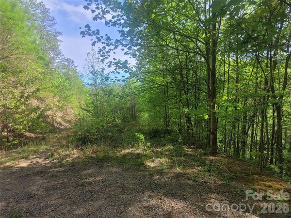 99999 Wolverine Court, Waynesville, NC 28785