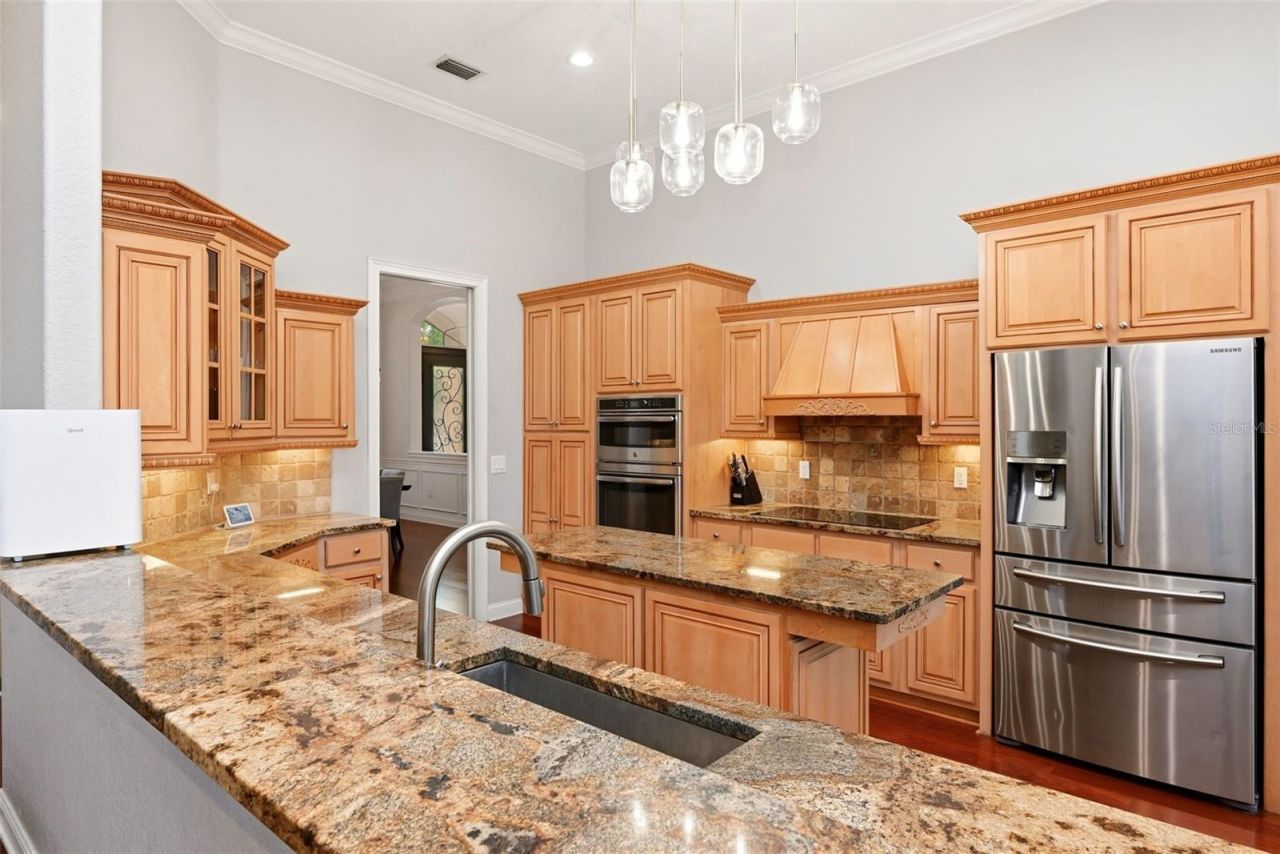 9119 Balmoral Mews Sq, Windermere, FL 34786 Photo