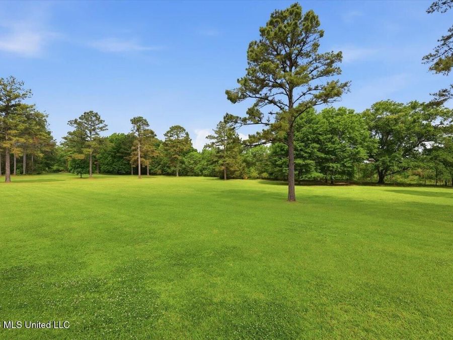 Property Image 62