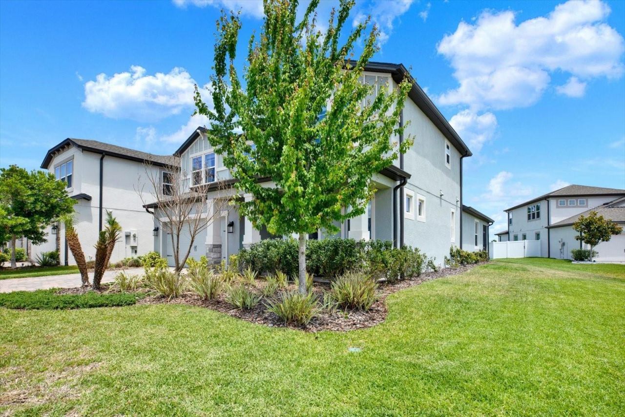 31601 Holton Court , Wesley Chapel, FL 33545 Photo