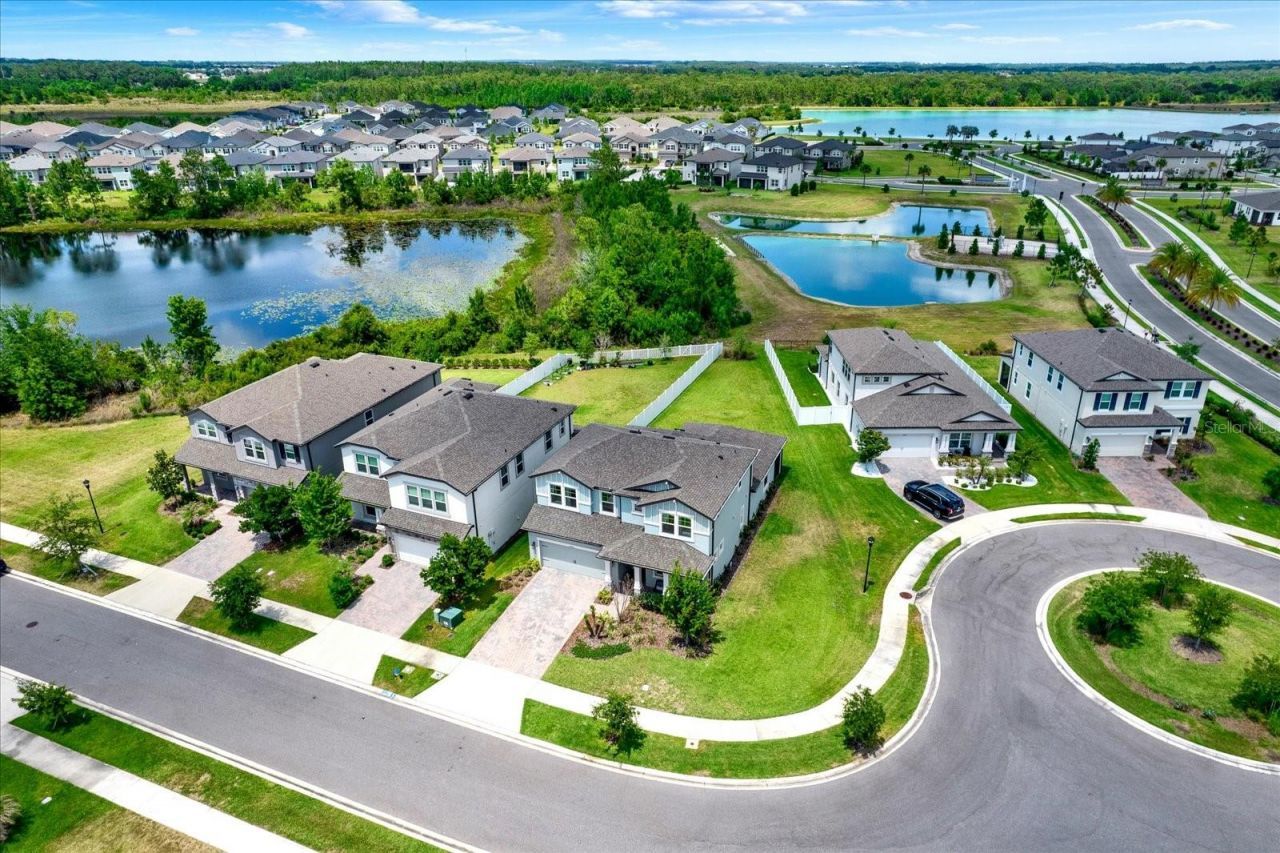 31601 Holton Court , Wesley Chapel, FL 33545 Photo