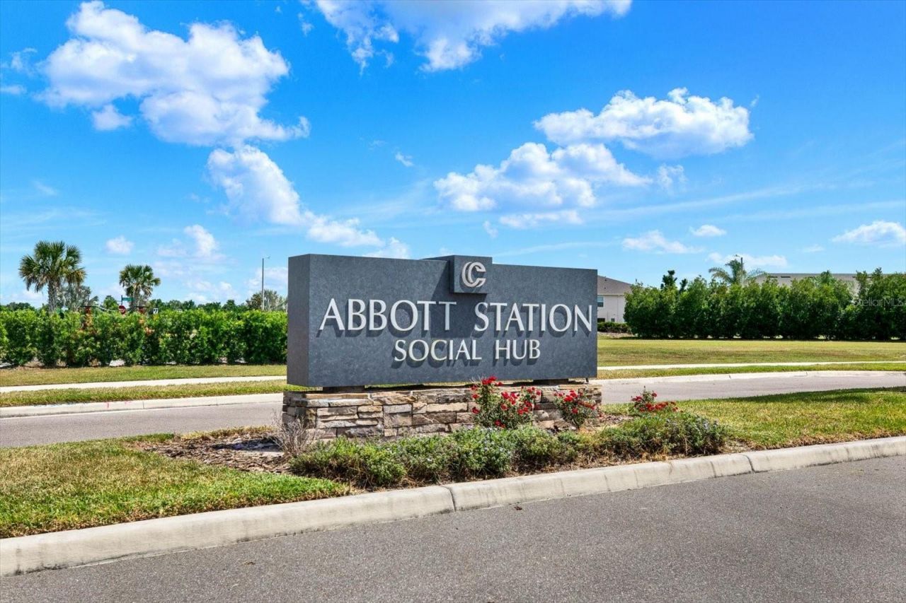 31601 Holton Court , Wesley Chapel, FL 33545 Photo