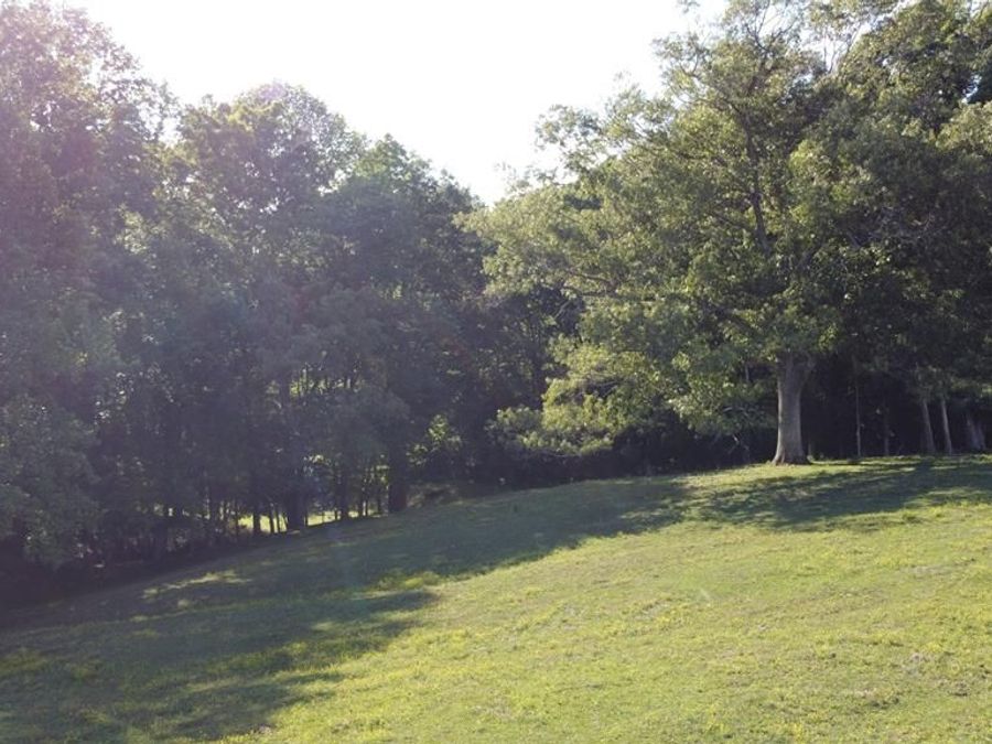 Property Image 32