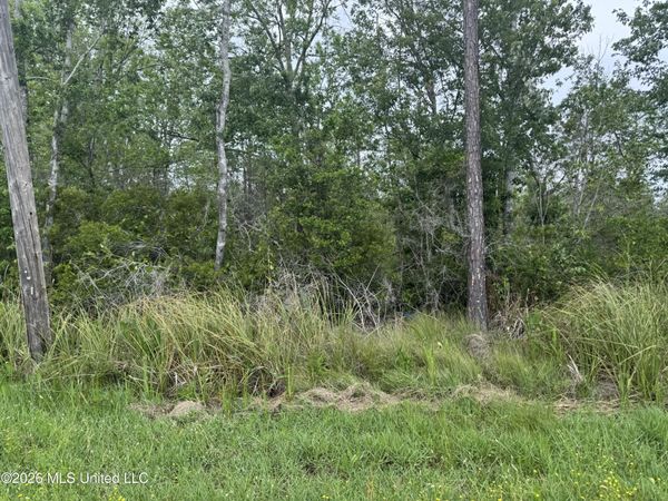 Nsn Lot 24 Piute Drive, Kiln, MS 39556
