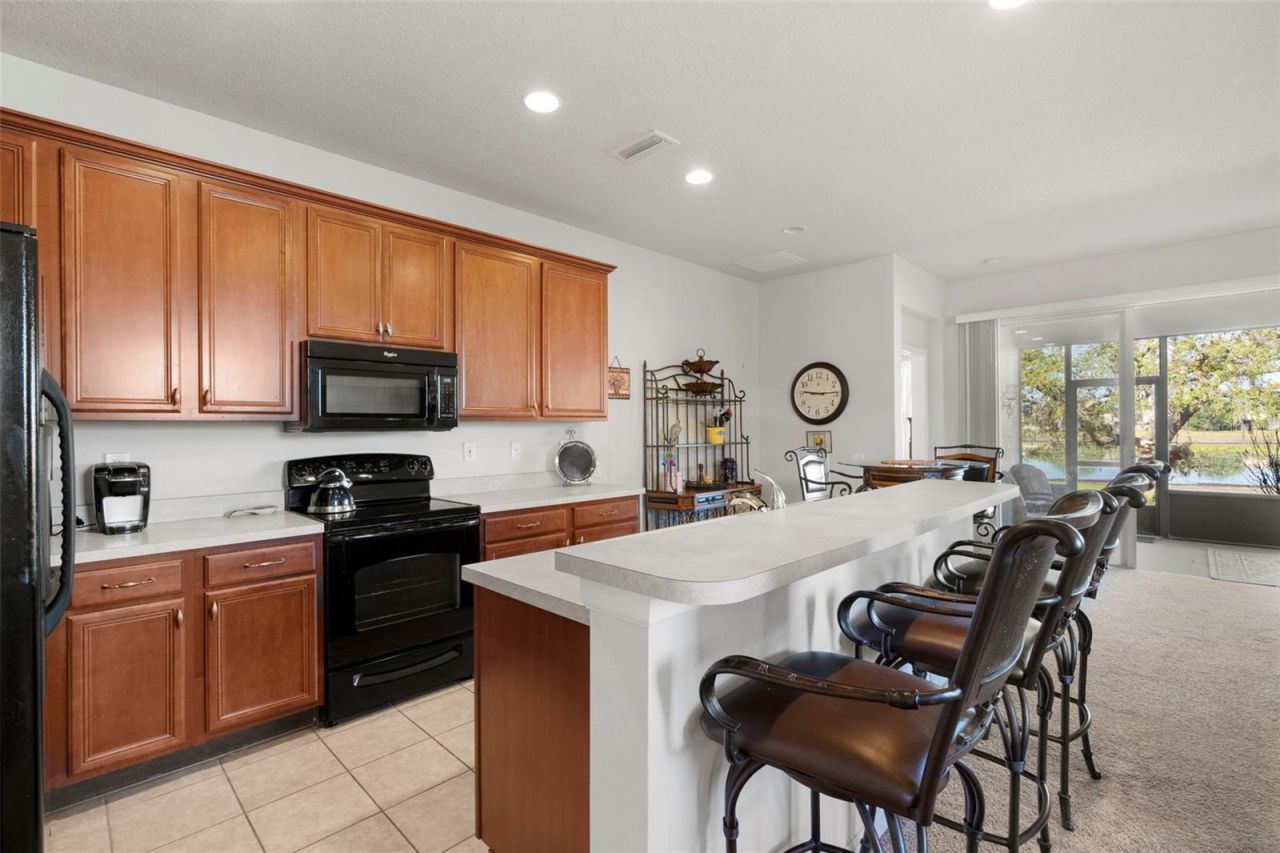 13723 Eastfork Lane , Hudson, FL 34669 Photo