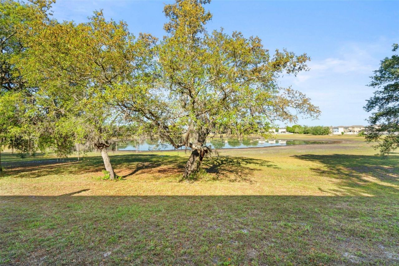 13723 Eastfork Lane , Hudson, FL 34669 Photo