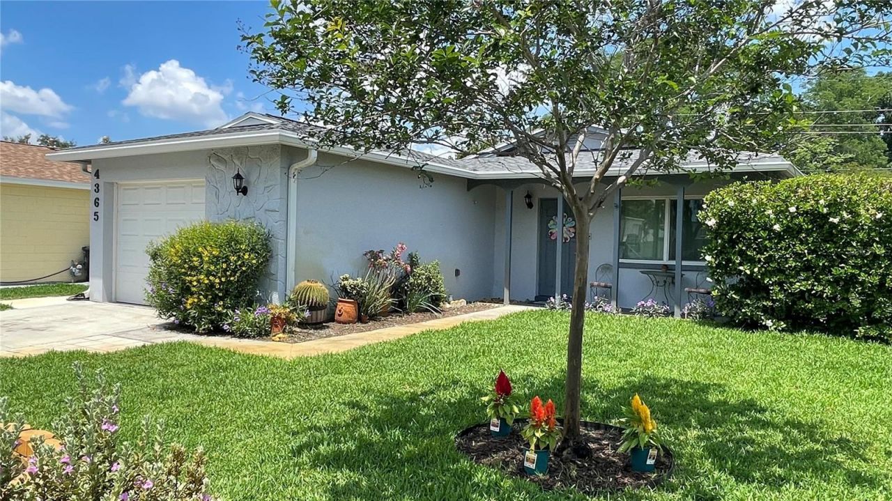 4365 66th Avenue N, Pinellas Park, FL 33781 Photo