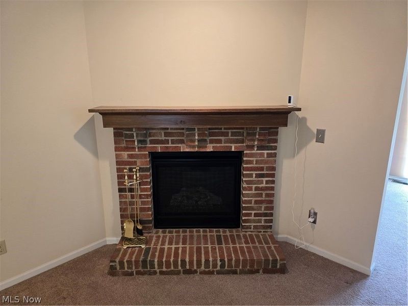 136 Haydens Arbor , Elyria, OH 44035 Photo 11