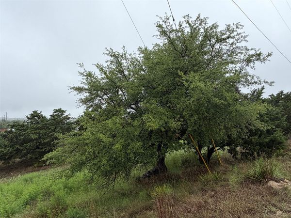 17408 Lake Wood CIR, Dripping Springs, TX 78620