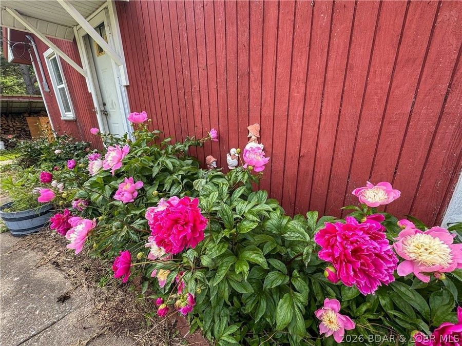 Property Image 46