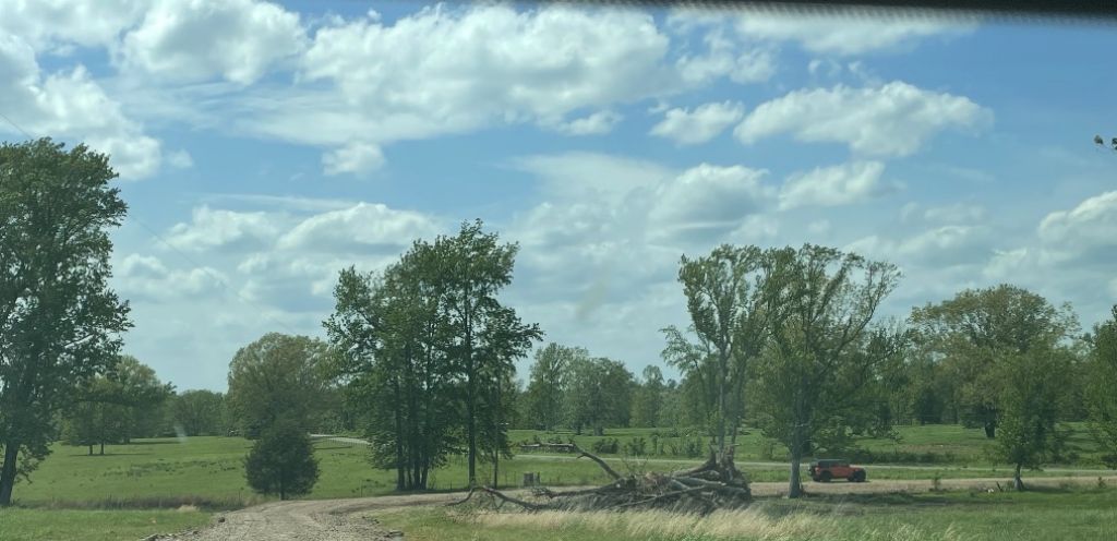 1999 Llewellyn Loop , Hector, AR 72843 Main Photo