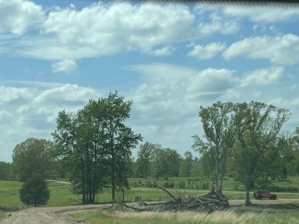 1999 Llewellyn Loop , Hector, AR 72843