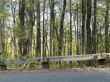 000 REEDS GAP RD, Lyndhurst, VA 22952