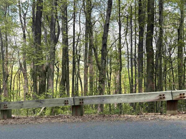 000 REEDS GAP RD, Lyndhurst, VA 22952