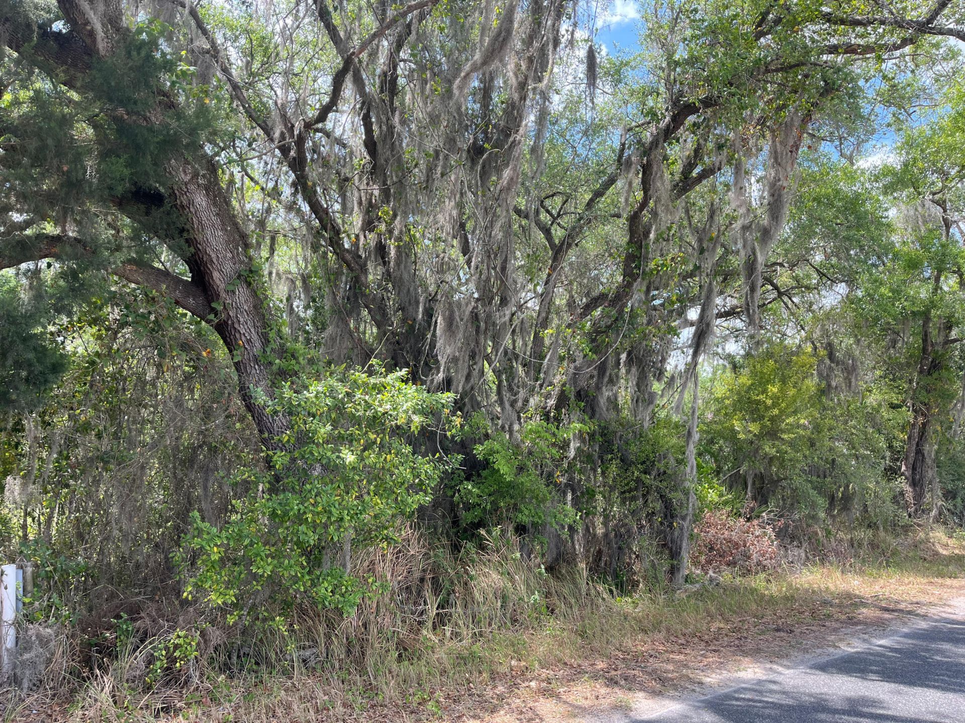 69 SE Se Terrace, Trenton, FL 32693 Photo