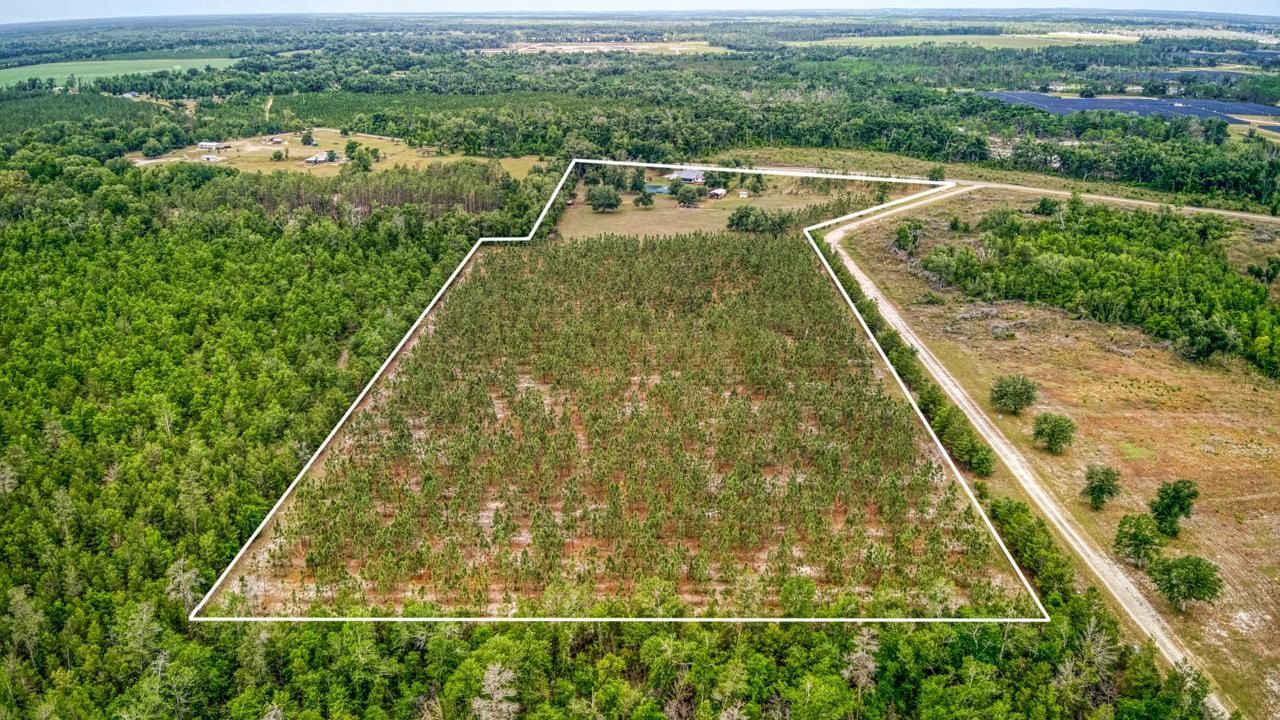 1752 SE Rogers Sink Road, Madison, FL 32340 Photo
