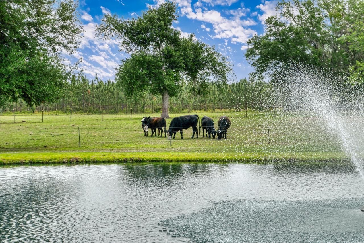 1752 SE Rogers Sink Road, Madison, FL 32340 Photo