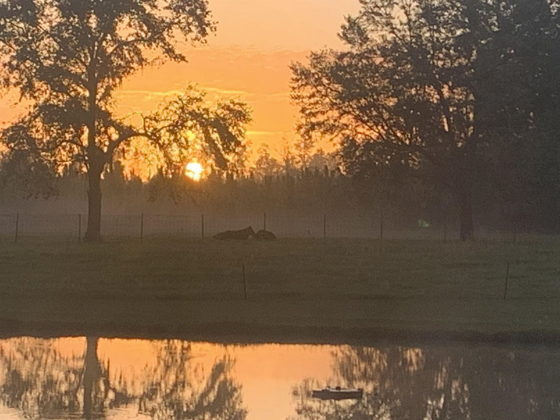 1752 SE Rogers Sink Road, Madison, FL 32340 Photo