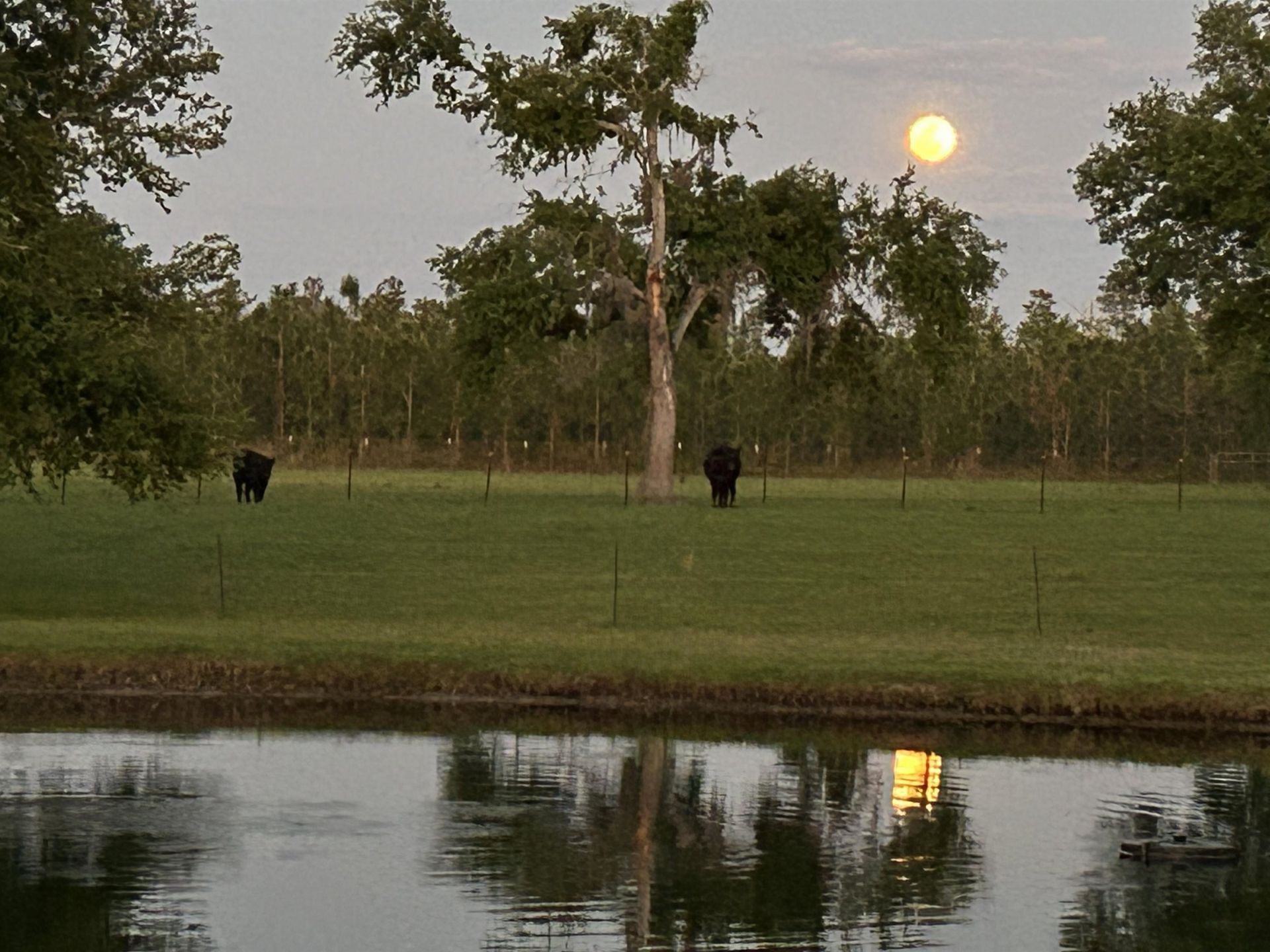 1752 SE Rogers Sink Road, Madison, FL 32340 Photo