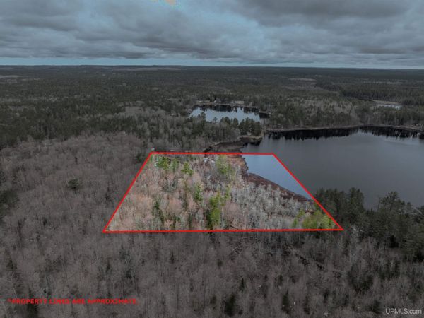 TBD Big Twin Lake Road, Munising Twp, MI 49895