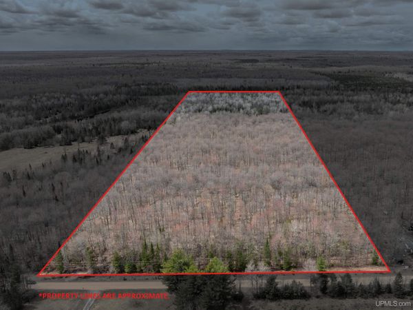 TBD Coaster Road, Limestone Twp, MI 49891