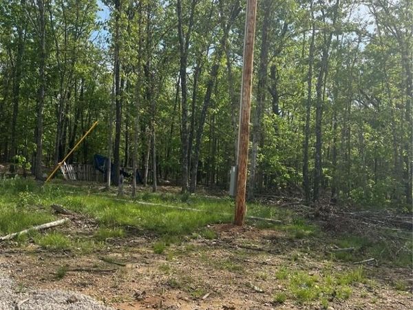 0 CR 4180, Salem, MO 65560