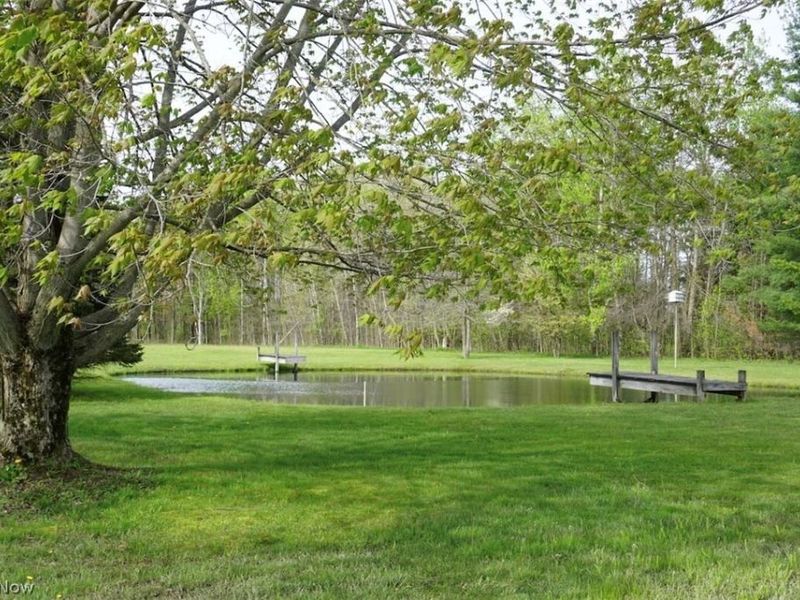 5875 Trumbull Road , Geneva, OH 44041 Photo 30