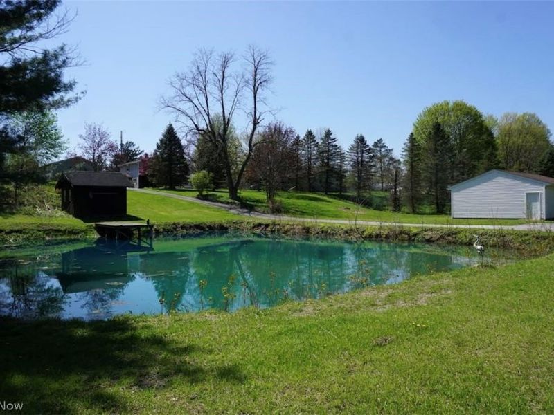 4173 S Ridge Road E, Geneva, OH 44041 Photo 30