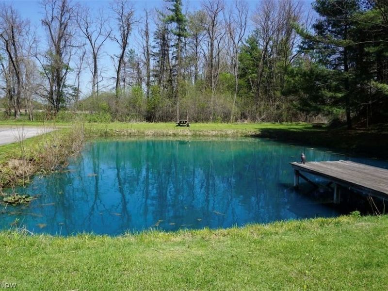 4173 S Ridge Road E, Geneva, OH 44041 Photo 32