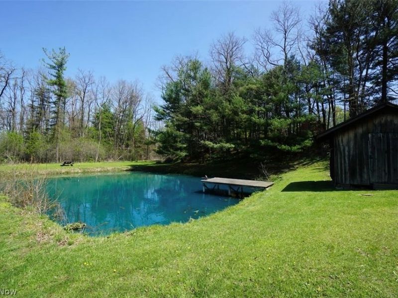 4173 S Ridge Road E, Geneva, OH 44041 Photo 33