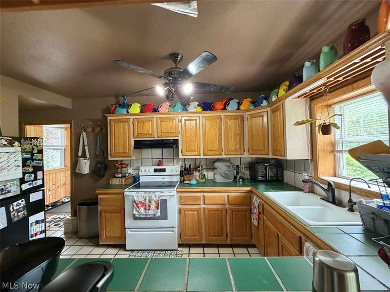 4173 S Ridge Road E, Geneva, OH 44041 Photo 6