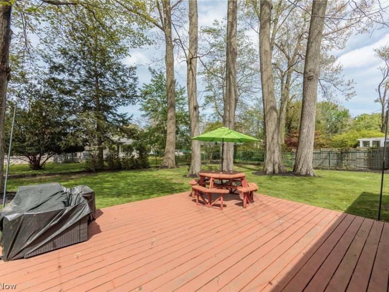22636 Locust Lane, Rocky River, OH 44116 Photo 39