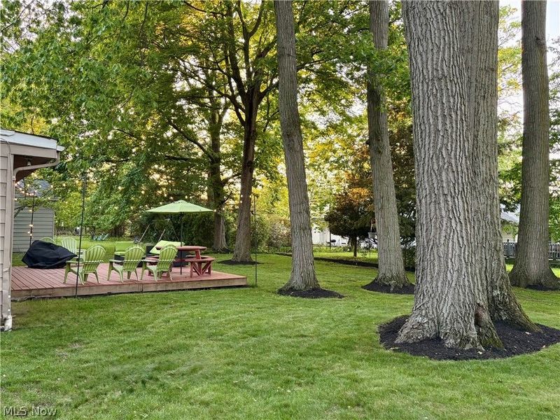 22636 Locust Lane, Rocky River, OH 44116 Photo 42