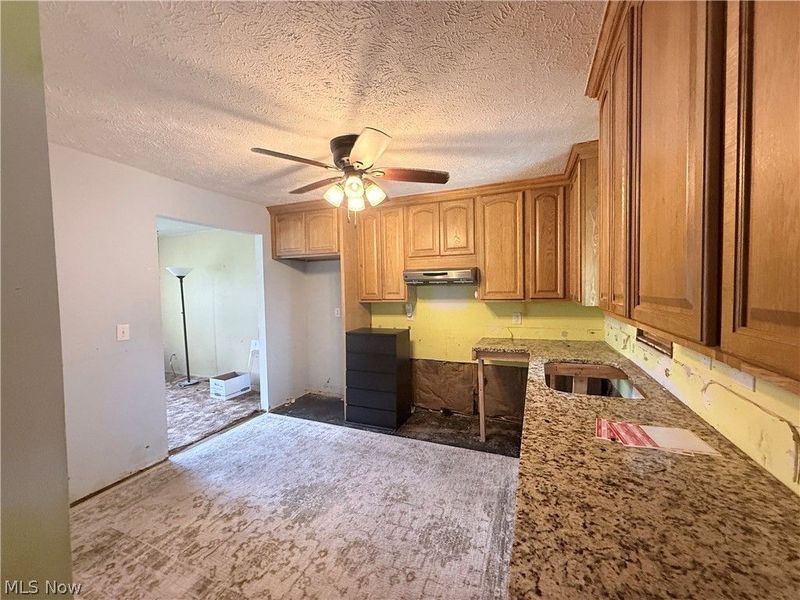 509 Chestnut Drive , Berea, OH 44017 Photo 5