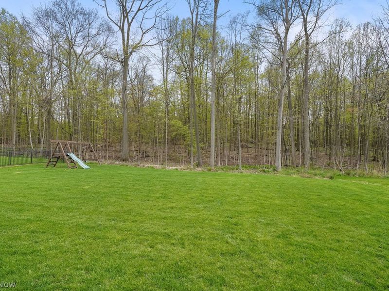 4516 Chaseline Ridge , Brunswick, OH 44212 Photo 39