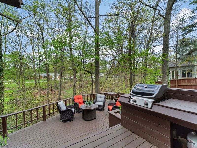 1200 Wildwood Drive , Vermilion, OH 44089 Photo 34
